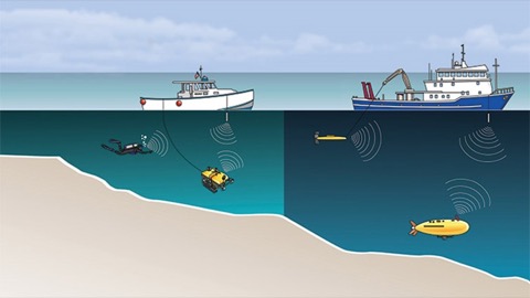 Nuova diga Genova, conclusa ispezione biocenosi