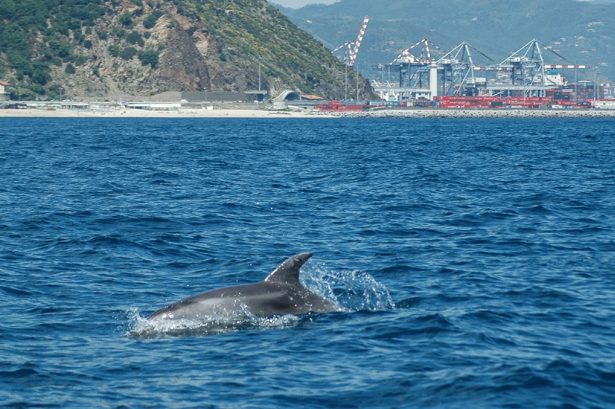 Salvaguardia dell'ambiente